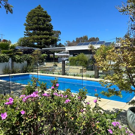 Happy Wanderer Motel Bendigo Children Not Permitted Over 18S Only Exterior photo