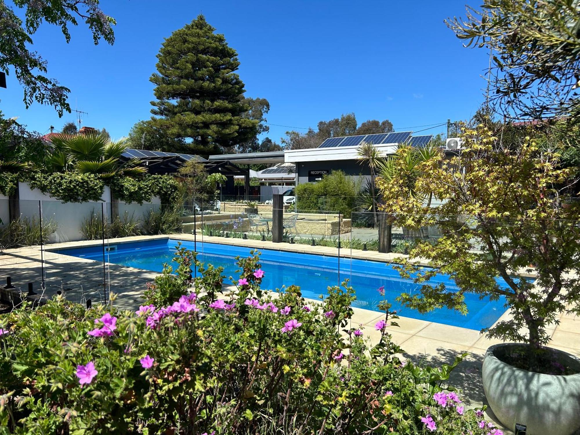 Happy Wanderer Motel Bendigo Children Not Permitted Over 18S Only Exterior photo